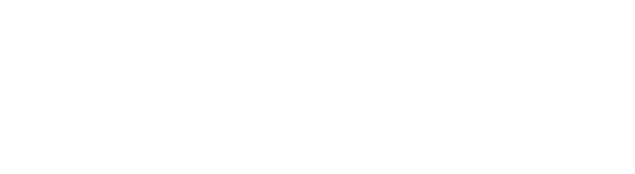 Main Logo
